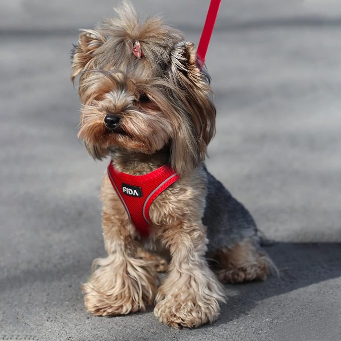 Fida Comfy Dog Harness with Leash, Soft Puppy Vest Escape Proof, Breathable Lightweight Soft Mesh, Adjustable Reflective Step-in Harness for Small Pet Walking (S, Red)