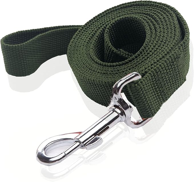 Nylon Dog Leash 8 Feet Long, Walking Training Dog Leashes for Medium Large Dogs(1" X 8 ft, Gree)