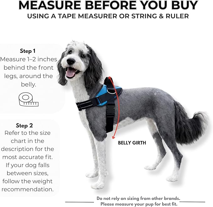 ShawnCo Essential Dog Harness, No-Pull Pet Vest with 3 Leash Clips, No Choke, Reflective, Adjustable and Padded, for Easy Walking and Training for Small, Medium and Large Dogs (Driftwood, XL)