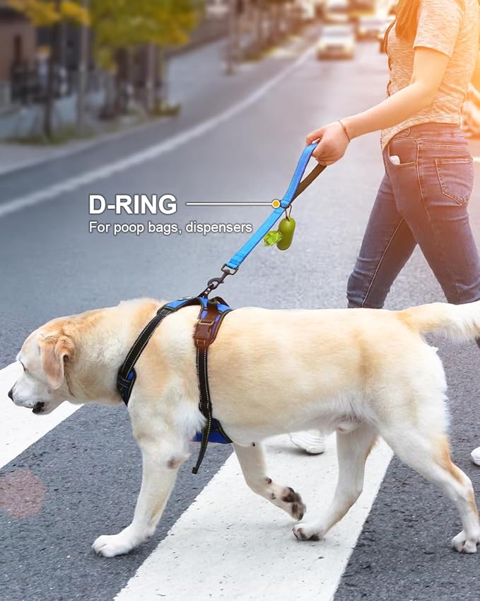 Joytale Strong Short Dog Leash 18 Inch, 1.2 Inch Wide, Heavy Duty, Padded Handle for Traffic Control, Reflective Leash for Medium and Large Dogs Walking Training, Aqua Blue