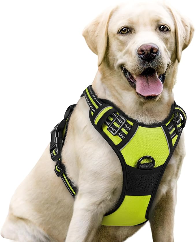 rabbitgoo Dog Harness No Pull with 2 Leash Clips, Adjustable Soft Padded, Reflective Oxford No Choke Pet Vest with Easy Control Handle for Large Dogs, Green, L