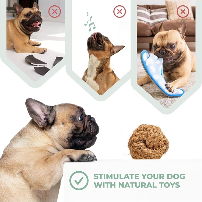 Alfred & Beebee Eco-Friendly Natural Coffee Wood Dog Chew Toy 4 Pack - for Regular Chewers - Dog Dental Chew - Small Medium - Coconut Ball, Rope Stick S - M