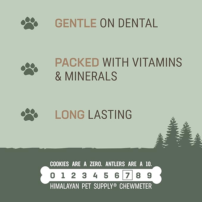 Antler and Himalayan Cheese Dog Chew | Long Lasting, Stain Free, Protein Rich, Low Odor | 100% Natural, Healthy & Safe | No Lactose, Gluten Or Grains | Antler Bone | for Dogs 45 Lbs & Smaller