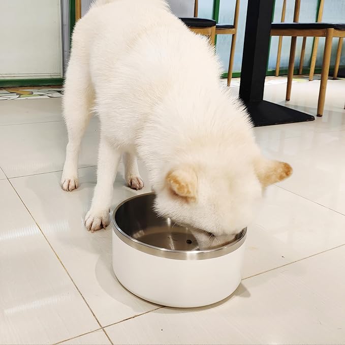 Stainless Steel Dog Bowl, Metal Water and Food Dish for Large Dogs, Insulated Non-Slip Pet Bowl, Easy Clean, 64oz, White