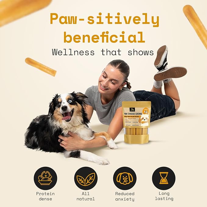 Himalayan Yak Cheese Dog Chews - Natural Healthy & Safe Treat for Large Dogs - Long Lasting Dental Chew Rich in Protein & Calcium - Gluten-Free Lactose-Free - 4 Chews for Large Dogs