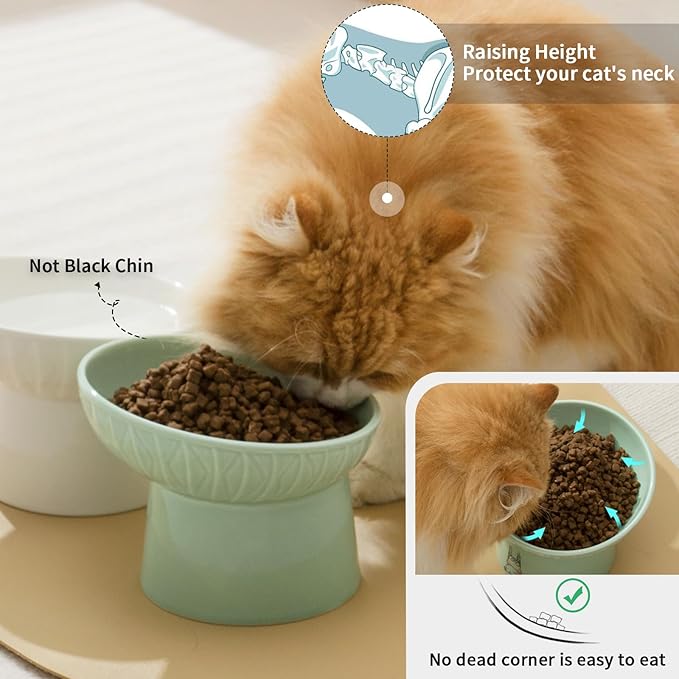 OMAYKEY 6.5 Inch Extra Wide Elevated Cat Bowls, Ceramic Raised Tilted Cat Bowl for Food and Water, Porcelain Pet Feeder Dishes for Cats & Dogs, Whisker Fatigue, White & Green