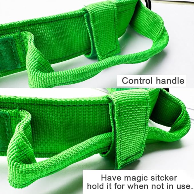 Xqpetlihai Tactical Dog Collar - Military Dog Collar - Adjustable Nylon - Heavy Duty Metal Buckle with Handle - Bright Green, Small