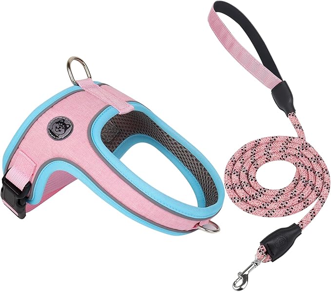 Dog Harness and Leash Set, No Pull Saddle Style Pet Harness, Breathable Mesh Adjustable Reflective Dog Vest for Dogs and Cat Medium Small Harness 2 D-Rings (Pink, L)