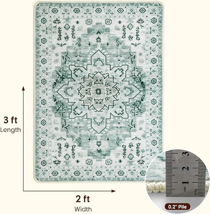 LBRO2M Rug for Entryway Indoor 2X3 Washable Rug Boho Design Door Carpet Throw Rugs for Kitchen Bathroom Non Slip Pet Friendly Area Rugs (2X3, Light Green)