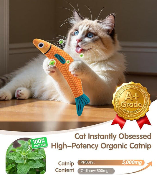 Cat Toys with[5000mg A+Natural Catnip &Silvervine] [Baby Grade] Interactive Soft Chew Kicker Cat Toys for Indoor Cats & Kittens, [Crinkle &Bell] Fish Sound Toy, Drives Bored Cat Crazy with Fun