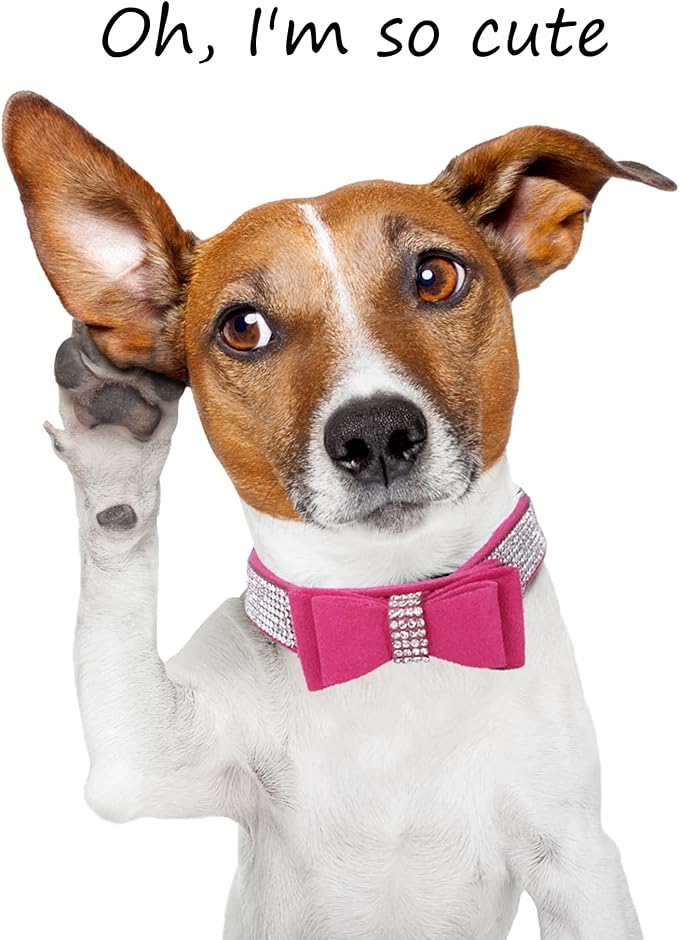 Rhinestone Dog Collar for Small Medium Large Dogs, Adjustable Leather Suede Bling Dog Collars，Diamond Bow Tie Puppy Collars for Boy and Girl.