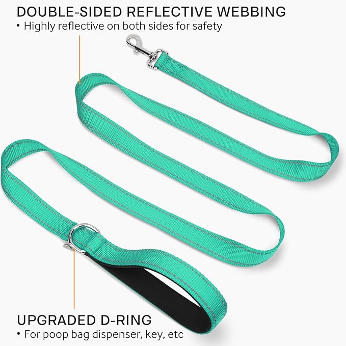 Joytale Dog Leash Heavy Duty for Large Medium Dogs, 6 FT Reflective Nylon Pet Walking Lead with Soft Padded Handle, Durable & Tangle Free for Training, Running & Safety Control, Teal