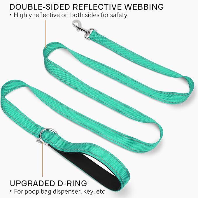 Joytale Dog Leash Heavy Duty for Small Medium Medium Dogs, 6 FT Reflective Nylon Pet Walking Lead with Soft Padded Handle, Durable & Tangle Free for Training, Running & Safety Control, Teal