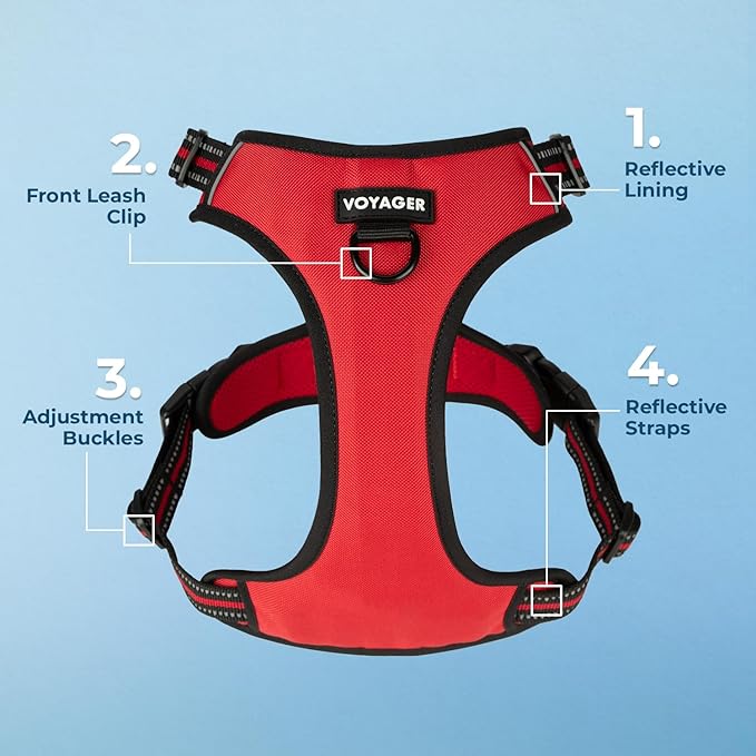 Voyager Dog Harness Dual Leash Attachment No-Pull Control Adjustable Soft but Strong Pet Harness for Medium and Large Dogs with 3M Reflective Technology, Red Lattice Nylon, XS (Chest: 13-16")