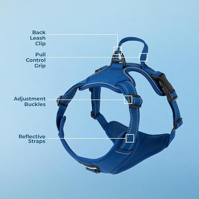 Voyager Dog Harness Dual Leash Attachment No-Pull Control Adjustable Soft but Strong Pet Harness for Medium and Large Dogs with 3M Reflective Technology, Royal Blue Lattice Nylon, XL (Chest: 28-37")