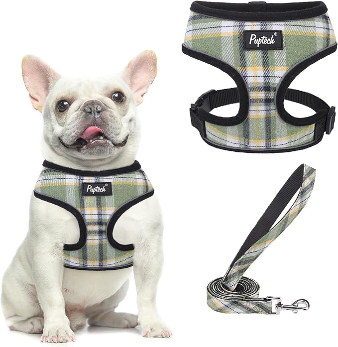 PUPTECK Soft Mesh Dog Harness and Leash Set Pet Puppy Cat Comfort Padded Vest No Pull Harnesses, Green/Yellow, M
