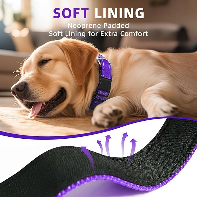 Reflective Dog Collar for Extra Large Dogs, Adjustable Collar with Soft Neoprene Padded, Durable Buckle for Daily Walking,Purple,XL