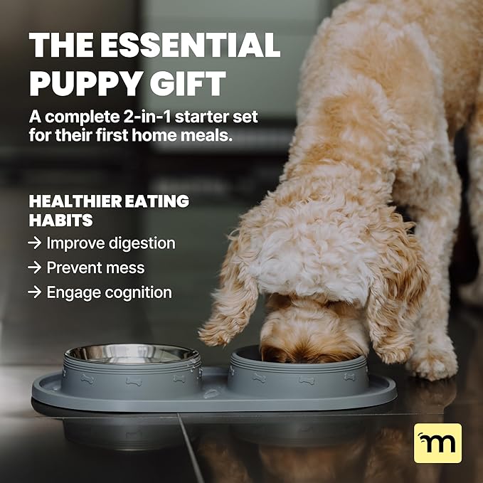 MalsiPree 2-in-1 Puppy Slow Feeder & Water Bowl Set - Essential Dog Gift for Small & Medium Pups - Silicone Feeding Mat & Stainless Steel Bowls, Travel-Ready Training Station for Fast Eaters - Gray