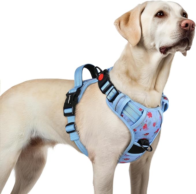 rabbitgoo Dog Harness for Large, No Pull Pet Harness with 3 Buckles, Adjustable Soft Padded Vest with Control Handle, Walking Reflective Pet Vest for Large Dogs, Floral Blue, L