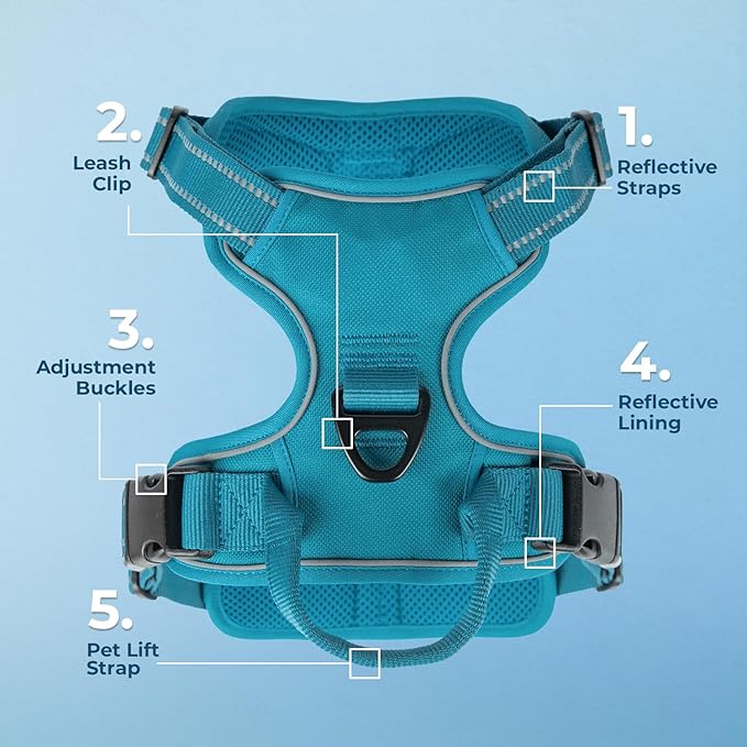Voyager Dog Harness Dual Leash Attachment No-Pull Control Adjustable Soft but Strong Pet Harness for Medium and Large Dogs with 3M Reflective Technology, Turquoise Nylon, S (Chest: 16-20")