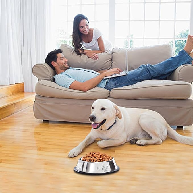 10 Pcs Stainless Steel Dog Bowl Pet Feeding Bowl with Rubber Base Non-Slip Pet Dishes Metal Dog Bowls Pet Food and Water Bowls for Small Medium Animals Kitten Rabbit (18.6 oz)