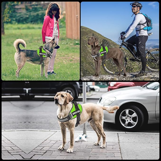 JSXD Dog Harness,No-Pull Service Dog Harness with Handle Adjustable Outdoor Pet Dog Vest 3M Reflective Nylon Material Vest for Breeds,Easy Control for Small Medium Large Dogs