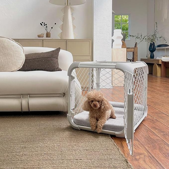 DIGGS Evolv Dog Crate - Slim, Durable Dog Kennel with Removable Ceiling Panel and Modular Design - Safe, Stylish, and Convenient (Ash, Medium)