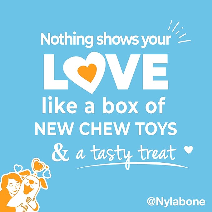 Nylabone Puppy Gift Box, Includes 3 Strong Puppy Chew Toys and 1 Natural Treat Bone for Puppies, Gifts for Puppies, Small Dogs - Up to 25 lbs., 4 Pack