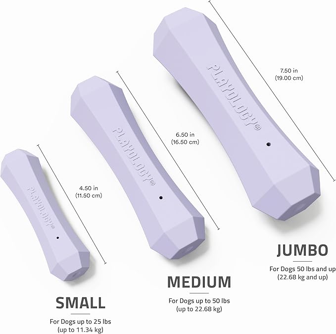 Playology Dog Toys | Durable Squeaky Chew Stick for Dogs | Jumbo Lamb Scented Toy - Easy to Clean and Made from Non Toxic Materials