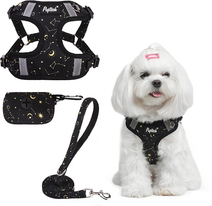 PUPTECK Dog Harness and Leash Set Small Sized, Step in No Pull Adjustable Puppy Cat Harness Reflective Pet Vest