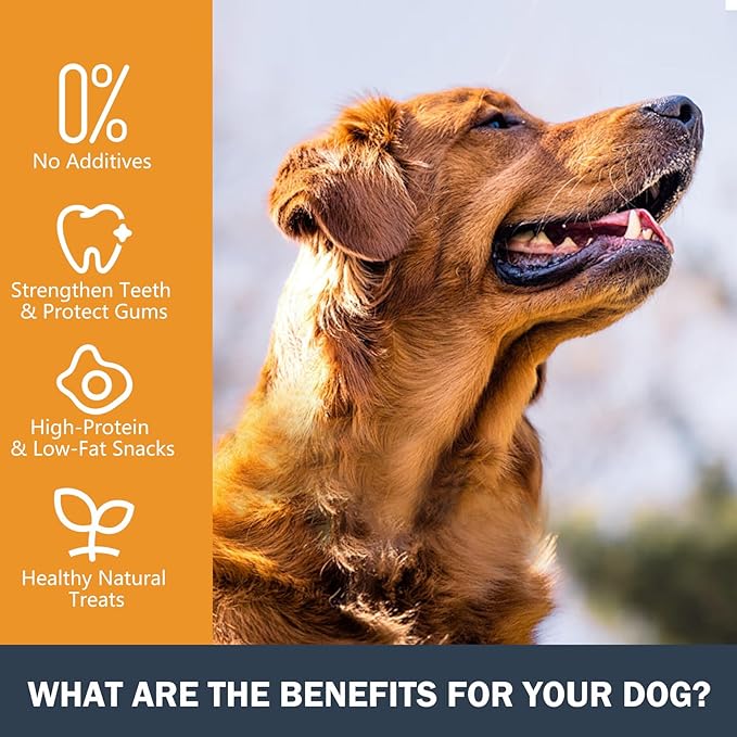 Xuehao Natural Beef Bone Knee Caps，Long Lasting Natural Dog Bones（4 Pack）,for Small, Medium and Large Dogs,Long-Lasting Chews,Protect Your Dog's Teeth
