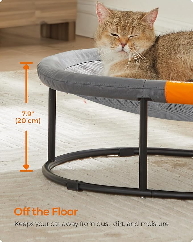 Feandrea Pet Bed, Cat Hammock, Elevated Cat Bed for Multiple Cats, with Removable Washable Mesh, for Pets up to 20 lb, Oval, Gray UPCB001G01