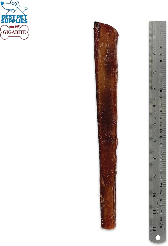 GigaBite Single Ingredient All Natural Free Range Bully Treats and Chews - Bully Sticks/Bladder Sticks/Beef Esophagus by Best Pet Supplies - Bully Sticks (Monstrous 12"), Pack of 4