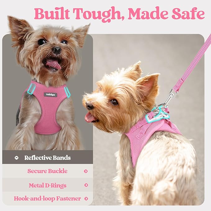 rabbitgoo Dog Harness Small Medium Sized and Leash Set, Step in Soft Light Puppy Vest, Breathable Mesh Pet Harness, Reflective for Safe Easy Walking, Light Pink XL