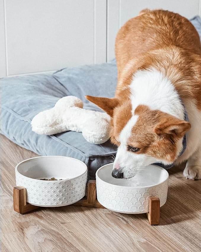 Dog Bowls Ceramic for Small Medium Dogs - 3-Cup Dual Food & Water Bowl Set with Acacia Wood Stand, Non-Slip Anti-Tip Elevated Design