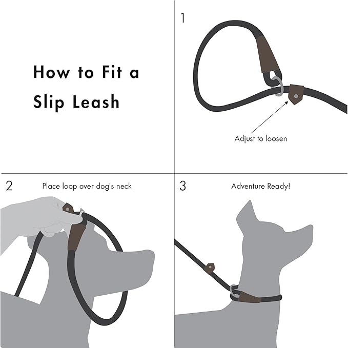 Friends Forever Extremely Durable Dog Rope Leash, Premium Quality Training Slip Lead, Reflective, Thick Heavy Duty, Sturdy, No Pull, Comfortable For The Strong Large Medium Small Pets 6 feet, Blue