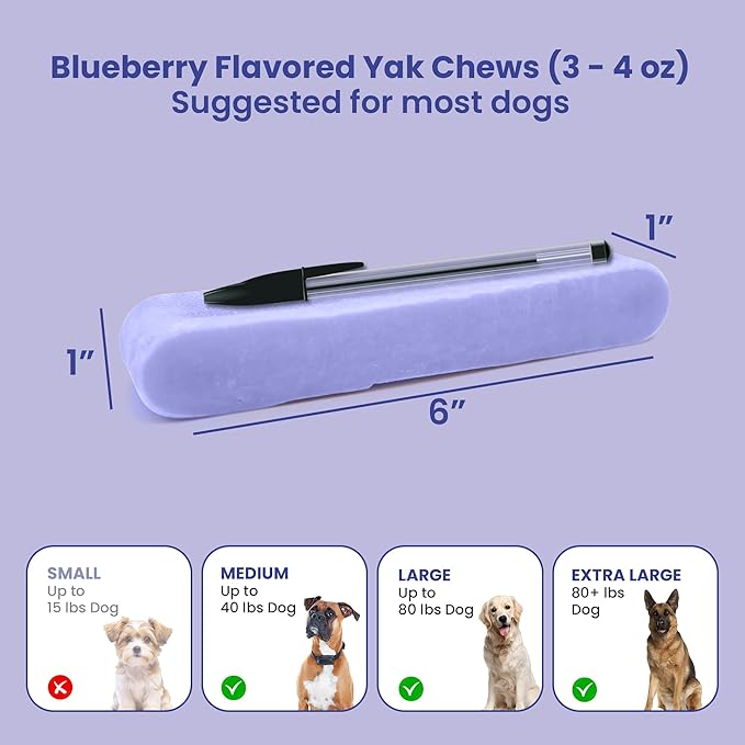 KATHMANDU'S 100% Natural Blueberry Flavored Yak Chews – Keep Dogs Busy & Happy with Our Lactose&Rawhide Free Himalayan Dog Chews - Long Lasting Dental Treats for Aggressive Chewers (Large, Pack of 4)