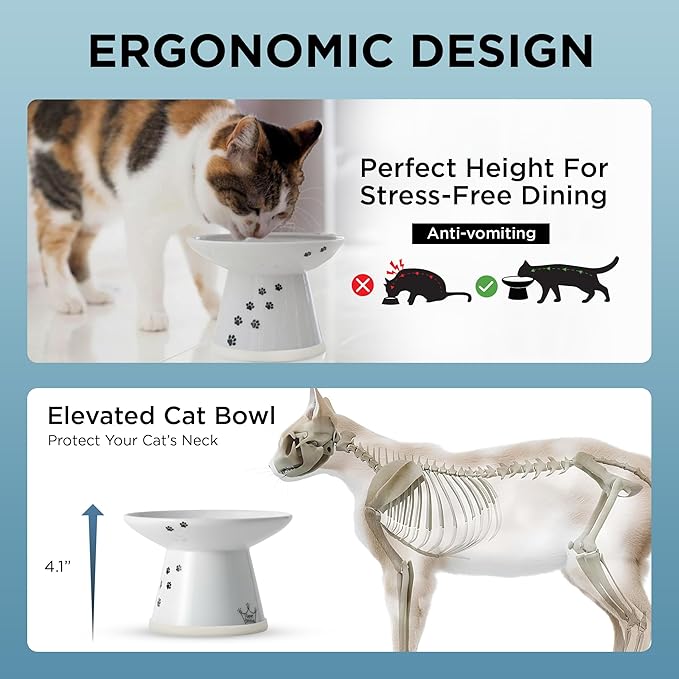 Necoichi Raised Cat Food Bowl – Ceramic Elevated Cat Bowl for Whisker & Neck Fatigue, Dishwasher Microwave Safe – Non-Slip & Anti Vomiting Ergonomic Design (Cats, Extra Wide, 2-Cups Capacity)