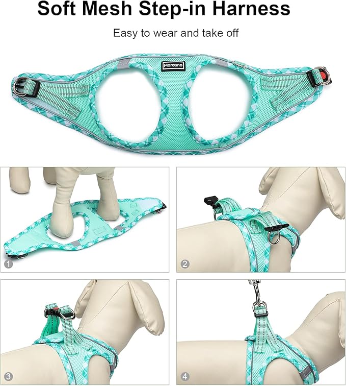Mercano Soft Mesh Dog Harness and Leash Set, No-Chock Step-in Reflective Breathable Lightweight Easy Walk Vest Harnesses with Safety Buckle for Small Dogs, Cats (Light Green, L)