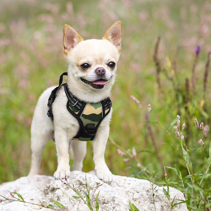 rabbitgoo Dog Harness No Pull with 2 Leash Clips, Adjustable Soft Padded, Reflective Oxford No Choke Pet Vest with Easy Control Handle for Large Dogs, Green Mountain,XS