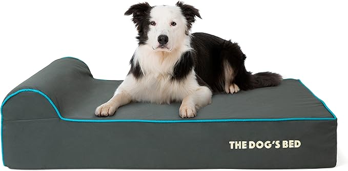 The Dog’s Bed Orthopedic Memory Foam Dog Bed with Headrest, Oxford Fabric, Grey with Blue Trim, L, 6-Inch