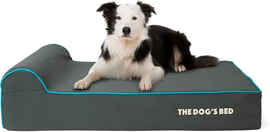The Dog’s Bed Orthopedic Memory Foam Dog Bed with Headrest, Oxford Fabric, Grey with Blue Trim, L, 6-Inch