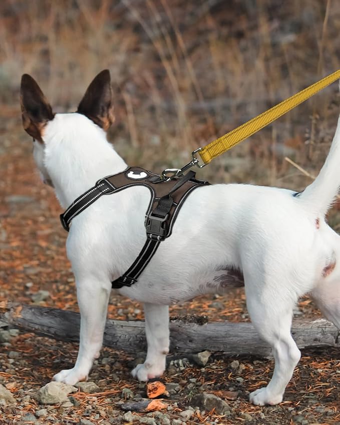 Joytale Dog Leash Heavy Duty for Small Medium Dogs, 6 FT Reflective Nylon Pet Walking Lead with Soft Padded Handle, Durable & Tangle Free for Training, Running & Safety Control, Khaki