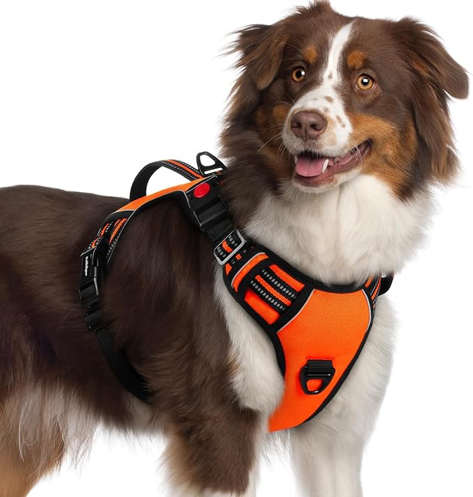 rabbitgoo Dog Harness Medium Sized, No Pull Pet Harness with Soft Padded Handle, Adjustable Reflective Vest with 3 Buckles, Easy Walking Harness with 2 Leash Clips, Orange, XL