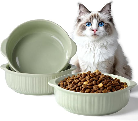 Cat Food Bowl with Handle, 6 inch Ceramic Cat Food and Water Feeder Set, Modern Vertical Texture Design, Kitten Bowls for Indoor Cats and Small Dogs, Microwave Dishwasher Safe, Green - 2 Pack