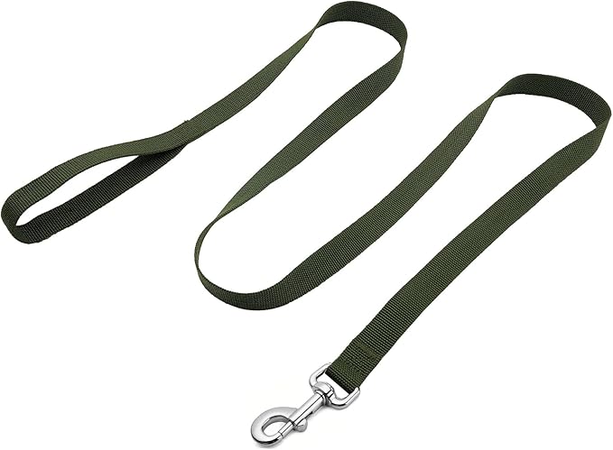 Strong Nylon Dog Leash, 4FT/ 5 FT/ 6FT Dog Leashes for Medium Large Dogs(4 FT, Green)