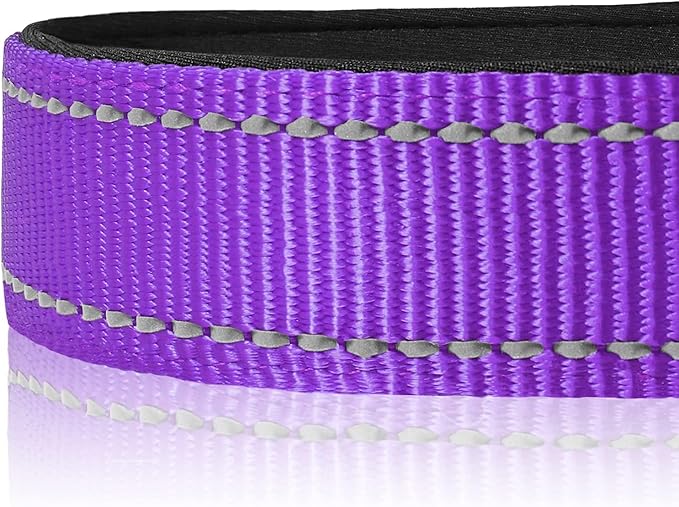 Joytale Reflective Dog Collar,Soft Neoprene Padded Breathable Nylon Pet Collar Adjustable for Large Dogs,Purple,L