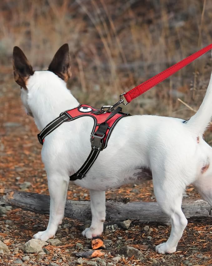 Joytale Dog Leash Heavy Duty for Small Medium Dogs, 5 FT Reflective Nylon Pet Walking Lead with Soft Padded Handle, Durable & Tangle Free for Training, Running & Safety Control, Red