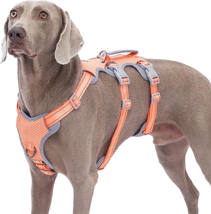 Huntboo Escape Proof Dog Harness, No Pull Reflective Harness with Lift Handle, Adjustable Pet Vest with Front and Back Leash Clips for Small Medium Large Dogs Walking Hiking Training (Orange,XL)