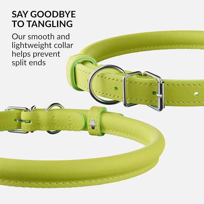 CollarDirect Rolled Leather Dog Collar, Soft Padded Round Puppy Collar, Handmade Genuine Leather Collar Dog Small Large Cat Collars 13 Colors (8-11 Inch, Lime Green Smooth)